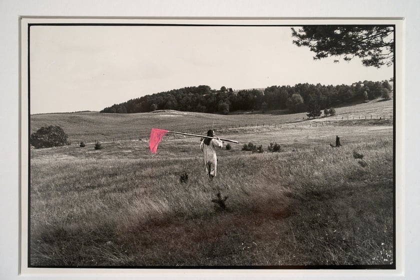 Prace Marii Pinińskiej-Bereś na wystawie w Pawilonie Czterech Kopuł we Wrocławiu