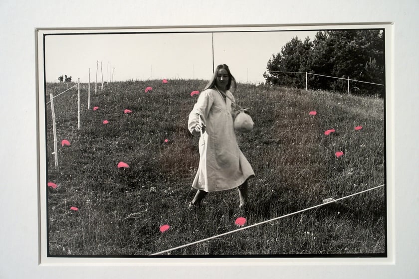 Prace Marii Pinińskiej-Bereś na wystawie w Pawilonie Czterech Kopuł we Wrocławiu