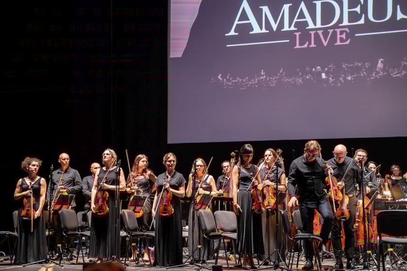 Amadeus Live  w Hali Stulecia we Wrocławiu (20.07.2024 r.)