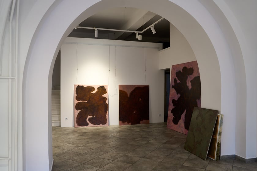 Zdjęcie z montażu wystawy Kosmatość Sylwii Muchy w Mia Art Gallery