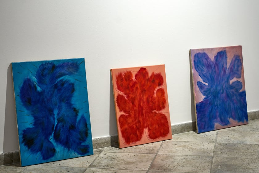 Zdjęcie z montażu wystawy Kosmatość Sylwii Muchy w Mia Art Gallery