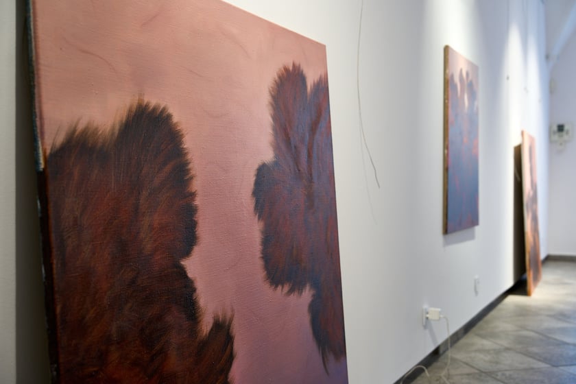 Zdjęcie z montażu wystawy Kosmatość Sylwii Muchy w Mia Art Gallery