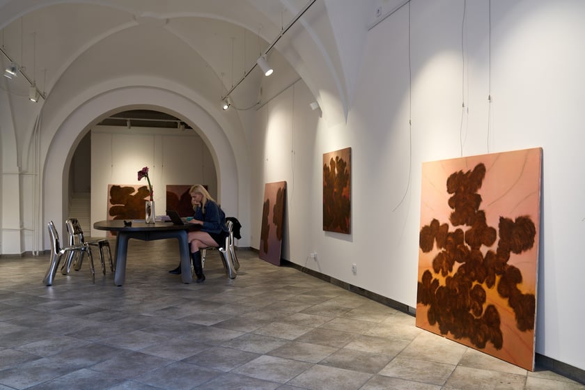 Zdjęcie z montażu wystawy Kosmatość Sylwii Muchy w Mia Art Gallery