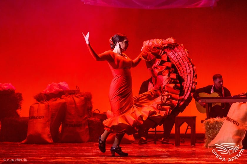 Barcelona Flamenco Ballet, Carmen