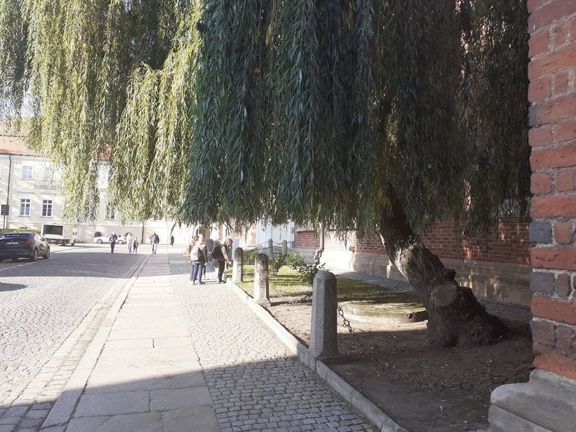 Południowa strona katedry, październik 2024