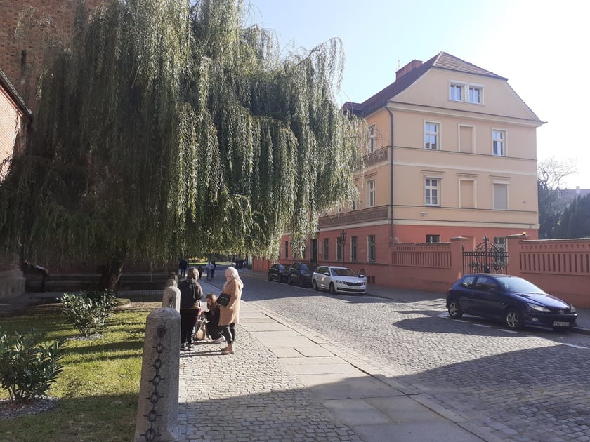 Południowa strona katedry, październik 2024