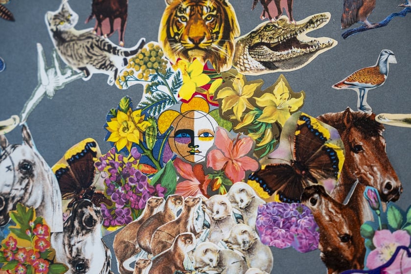 Wystawa Poli Dwurnik &bdquo;Nowa choreografia Alcyny&rdquo; w Krupa Gallery do 14 lutego 2025