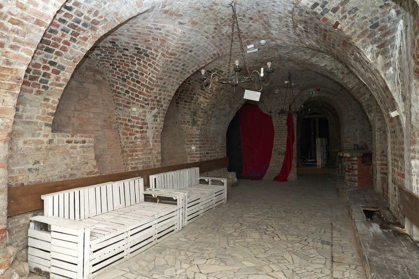 Zamek w Leśnicy