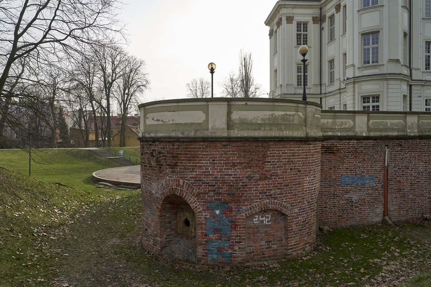 Zamek w Leśnicy