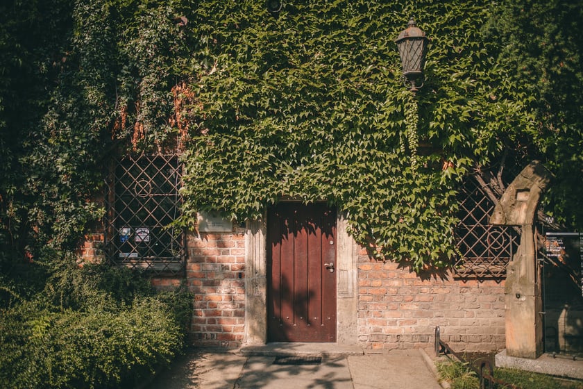 Muzeum Architektury we Wrocławiu  - widok na budynek