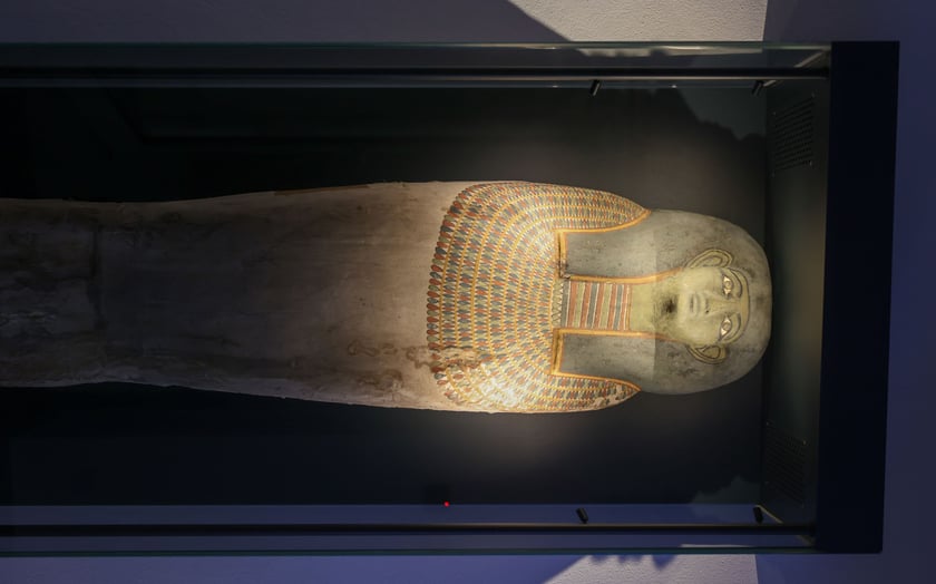 Oficjalne otwarcie (po remoncie) Muzeum Archidiecezjalnego we Wrocławiu (12 grudnia 2024 roku)