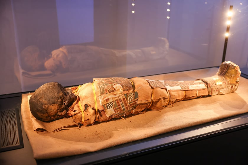 Oficjalne otwarcie (po remoncie) Muzeum Archidiecezjalnego we Wrocławiu (12 grudnia 2024 roku)
