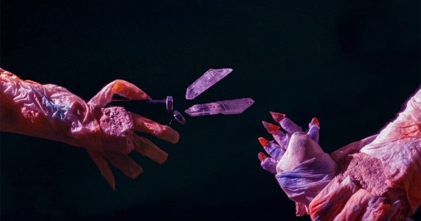 Blok konkursowy Animacja: PLANTARIUM