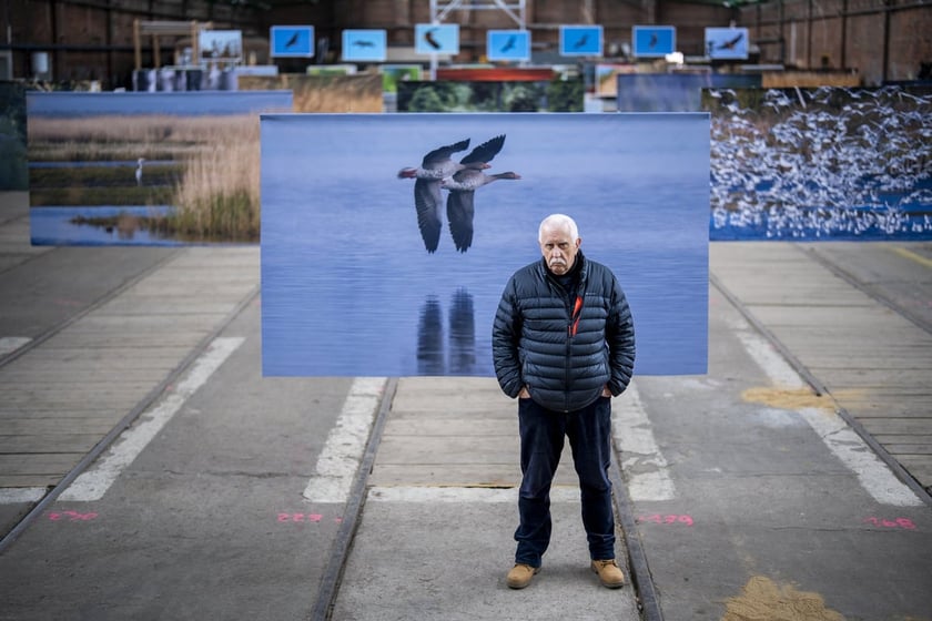 Wystawa fotografii wielkoformatowych Mieczysława Michalaka pod tytułem Ptaki