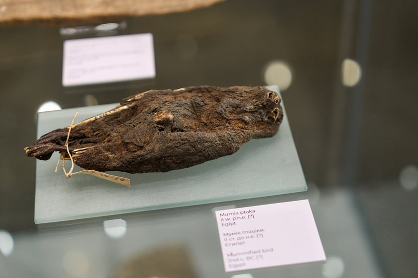 Wystawa "Kresy Europy. Ze skarbca Lwowskiego Muzeum Historycznego" w Arsenale we Wrocławiu