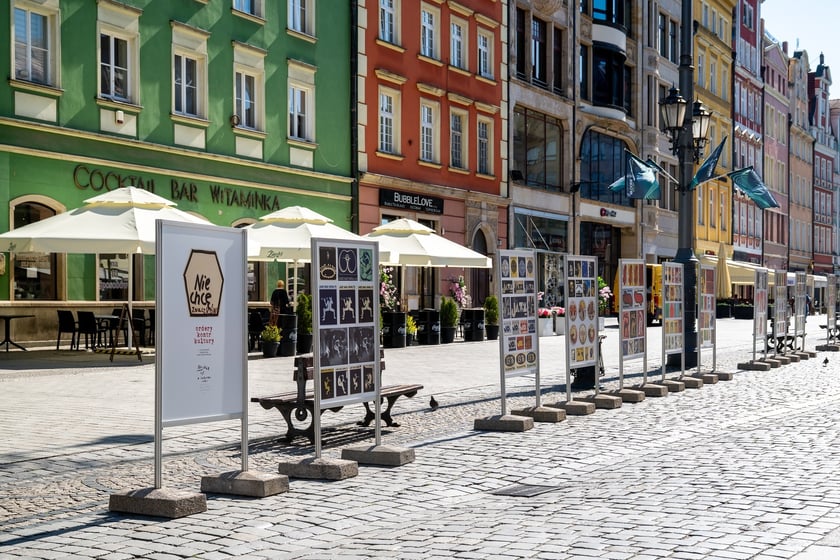 Wystawa Plenerowa Ordery Kontrkultury