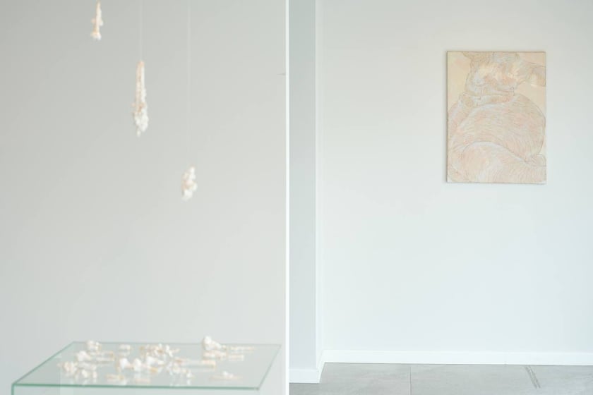 Wystawa Anny Marii Zuzeli w Krupa Gallery do 12 lipca