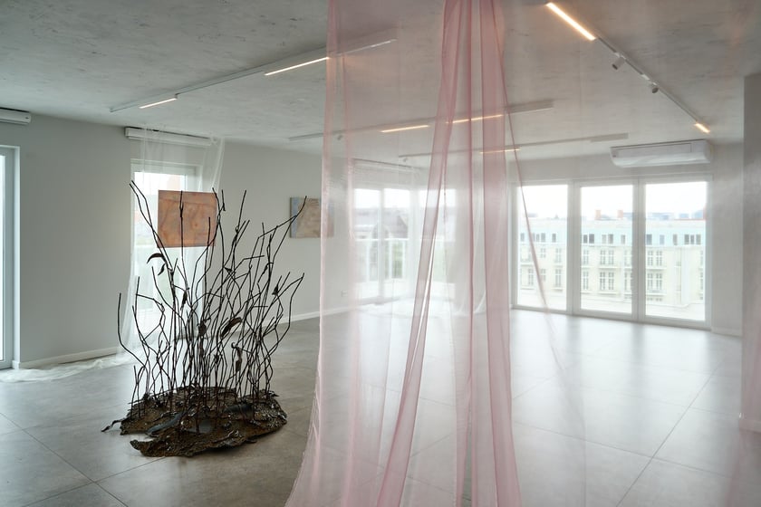 Wystawa Anny Marii Zuzeli w Krupa Gallery do 12 lipca