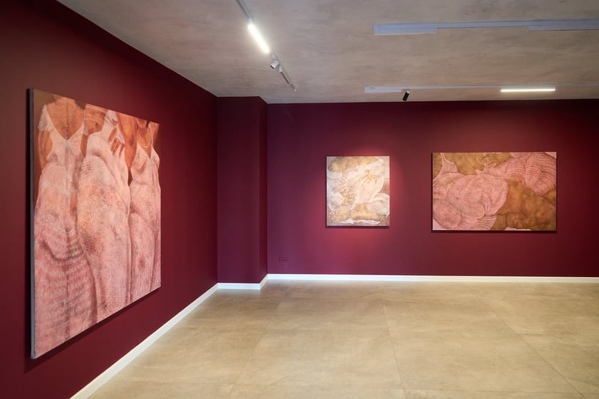 Wystawa Anny Marii Zuzeli w Krupa Gallery do 12 lipca