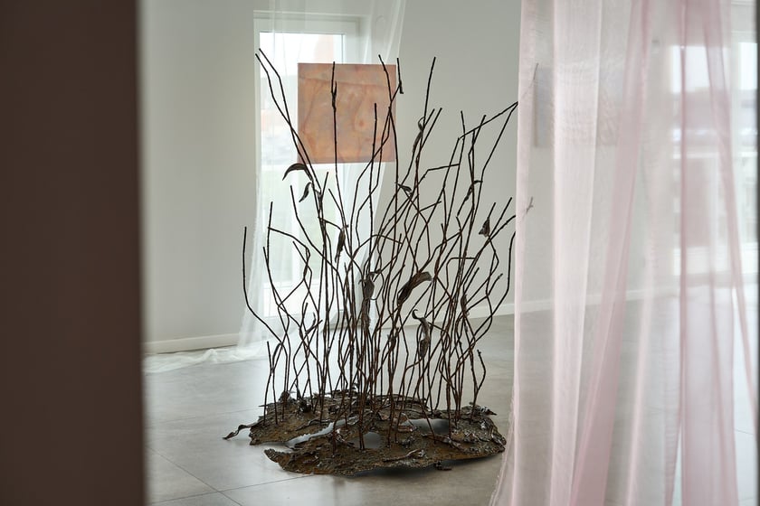Wystawa Anny Marii Zuzeli w Krupa Gallery do 12 lipca