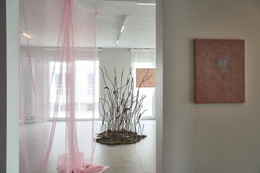 Wystawa Anny Marii Zuzeli w Krupa Gallery do 12 lipca