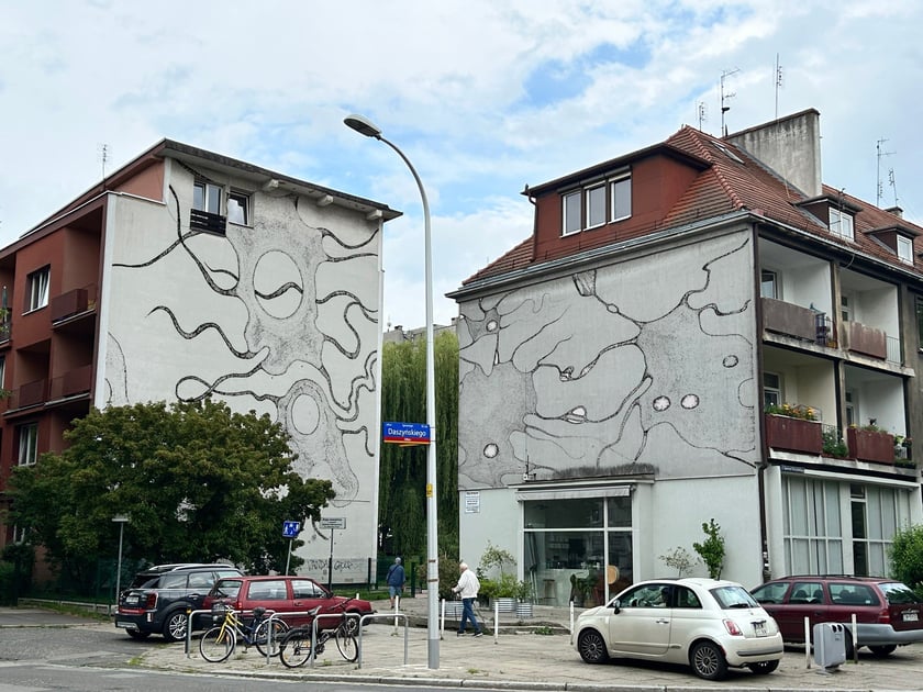 Neuroornament Anity Sieradzkiej z ASP Wrocław