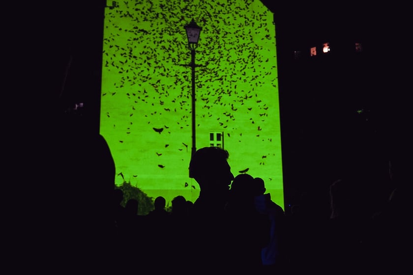 Pierwszy dzień Kinomurala 2025, projekcje w piątek 19 września