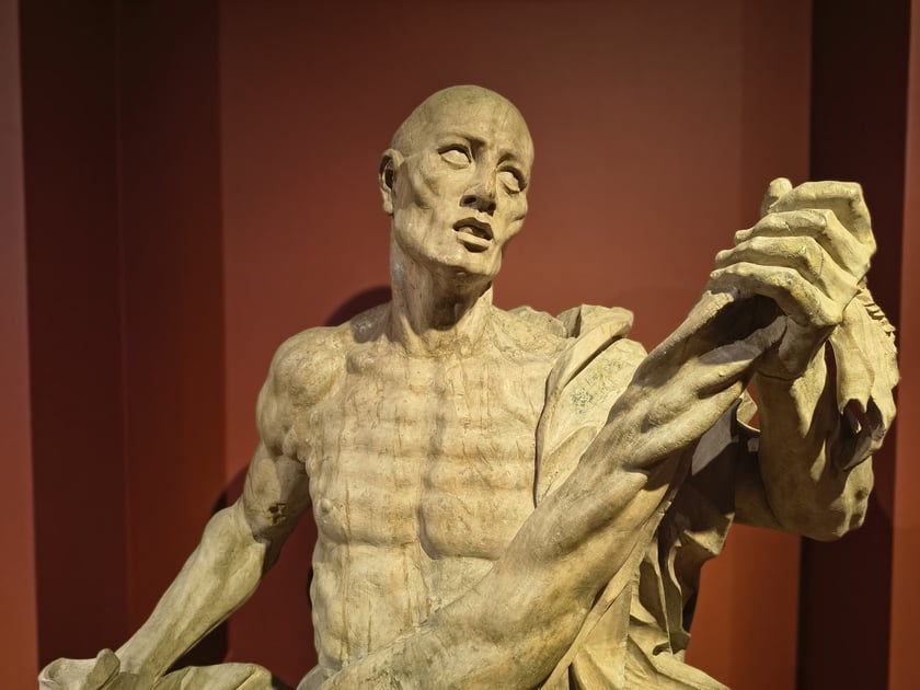 św. Barłomiej | Thomas Weissfeld | dawniej w kościele Świętego Krzyża we Wrocławiu | 1704-1705