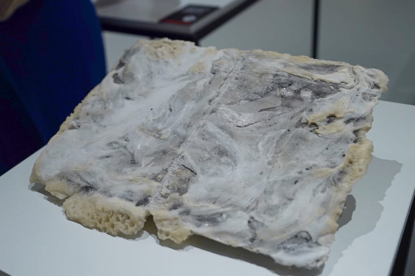 Og&oacute;lnopolski Przegląd Sztuki Książki w Pawilonie Czterech Kopuł. Wrocław, 15.11.2025