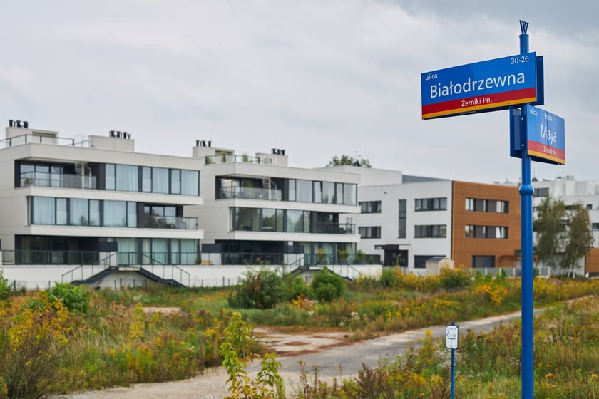 Nowe Żerniki