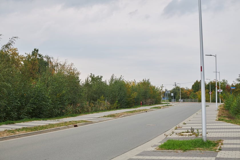 Nowe Żerniki