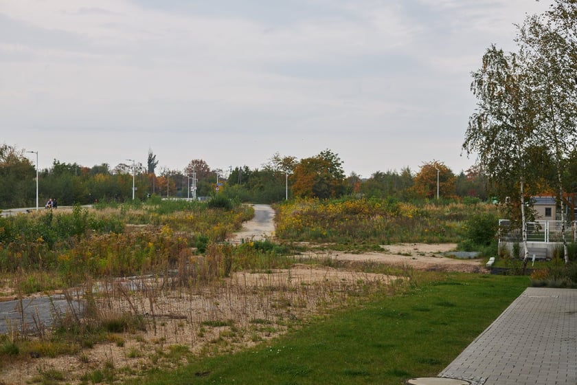Nowe Żerniki