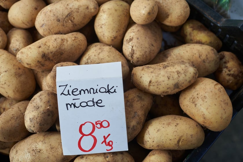 Przed świętami Wielkanocnymi warto zajrzeć na wrocławskie targowiska i bazary. Po jajka od szczęśliwej kury, swojską kiełbasę, prawdziwy zakwas na żurek i cukrowego baranka warto wybrać się na któreś z wrocławskich targowisk. Kupimy świeży towar i wspomożemy lokalnych przedsiębiorców z okolicy. W galerii zdjęć zobaczcie ceny produktów (jajka, kiełbasy, szynki, mięso, warzywa, owoce) tuż przed światami.