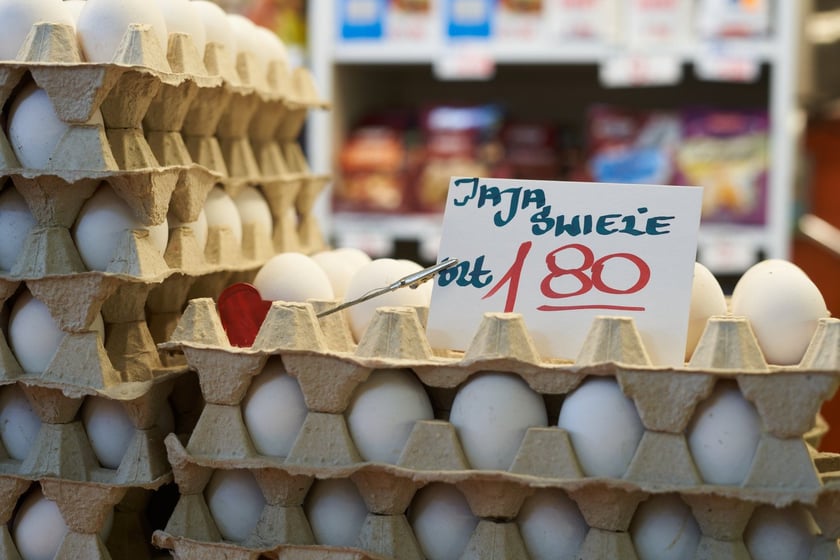 Przed świętami Wielkanocnymi warto zajrzeć na wrocławskie targowiska i bazary. Po jajka od szczęśliwej kury, swojską kiełbasę, prawdziwy zakwas na żurek i cukrowego baranka warto wybrać się na któreś z wrocławskich targowisk. Kupimy świeży towar i wspomożemy lokalnych przedsiębiorców z okolicy. W galerii zdjęć zobaczcie ceny produktów (jajka, kiełbasy, szynki, mięso, warzywa, owoce) tuż przed światami.