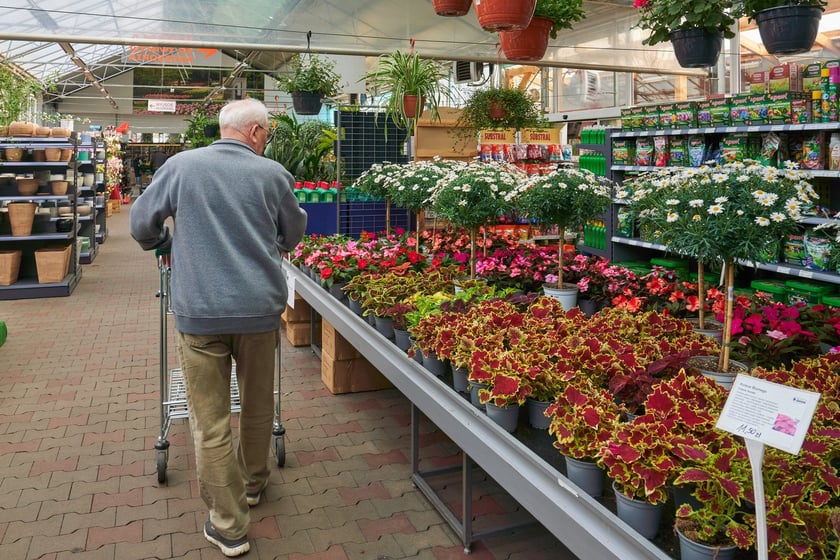 Centra i sklepy ogrodnicze we Wrocławiu z wiosenną ofertą roślin