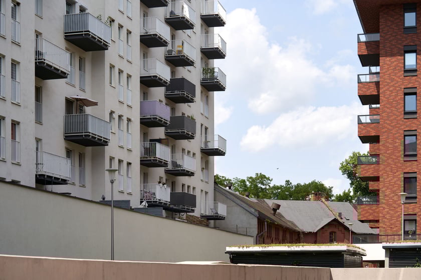 Kępa Mieszczańska ? największa i najbardziej zielona wyspa w centrum Wrocławia. Zobaczcie zdjęcia i poznajcie historię tego miejsca.