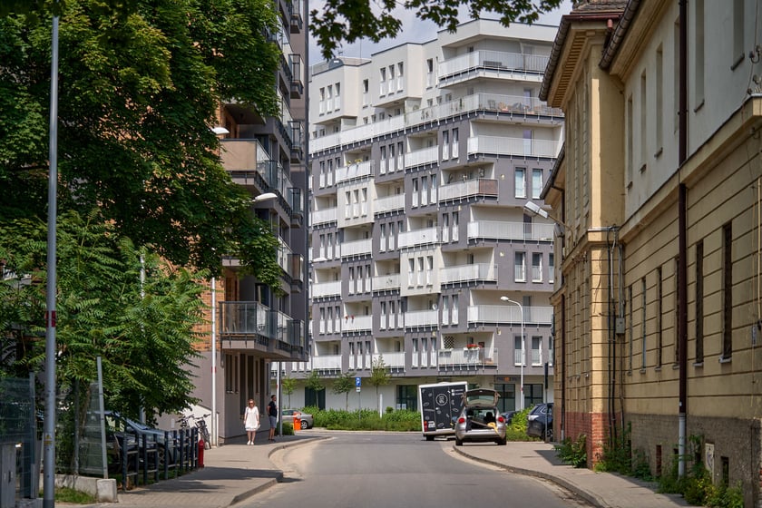 Kępa Mieszczańska ? największa i najbardziej zielona wyspa w centrum Wrocławia. Zobaczcie zdjęcia i poznajcie historię tego miejsca.