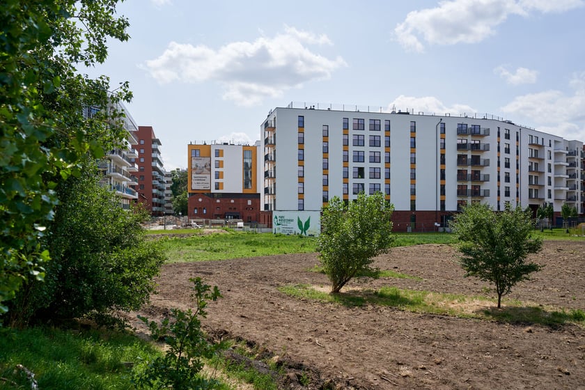 Kępa Mieszczańska ? największa i najbardziej zielona wyspa w centrum Wrocławia. Zobaczcie zdjęcia i poznajcie historię tego miejsca.