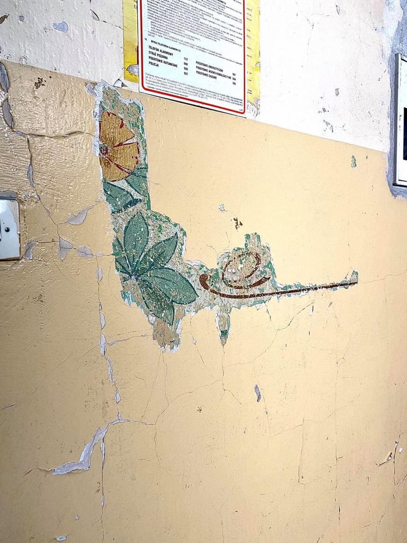 Filip Heliasz na swoich zdjęciach  pokazuje perły miejskiej architektury. Najnowsze odkrycia w kamienicach we Wrocławiu