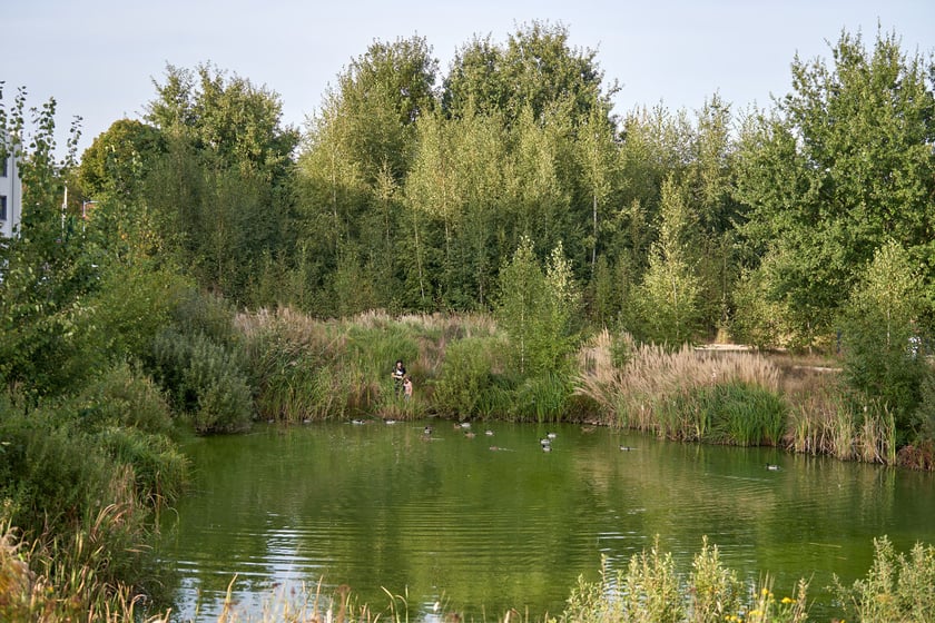 Nowe Żerniki, październik 2023 r.