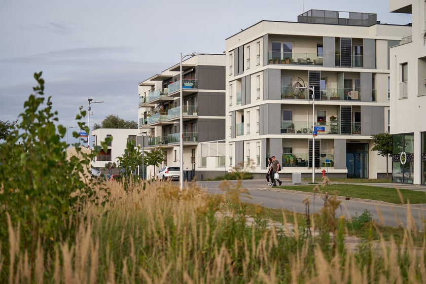 Nowe Żerniki, październik 2023 r.