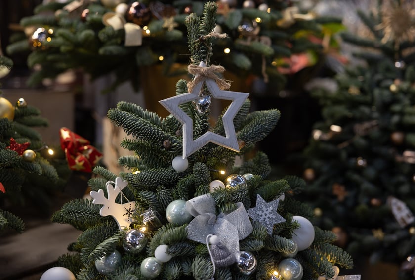 Stoiska i produkty w Hali Targowej