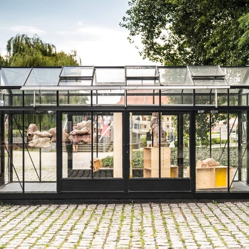 Kamienica Concordia Design Wrocław na Wyspie Słodowej