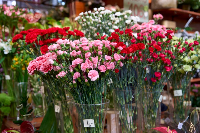 Kwiaty w Hali Targowej