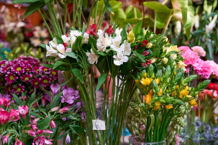 Kwiaty w Hali Targowej