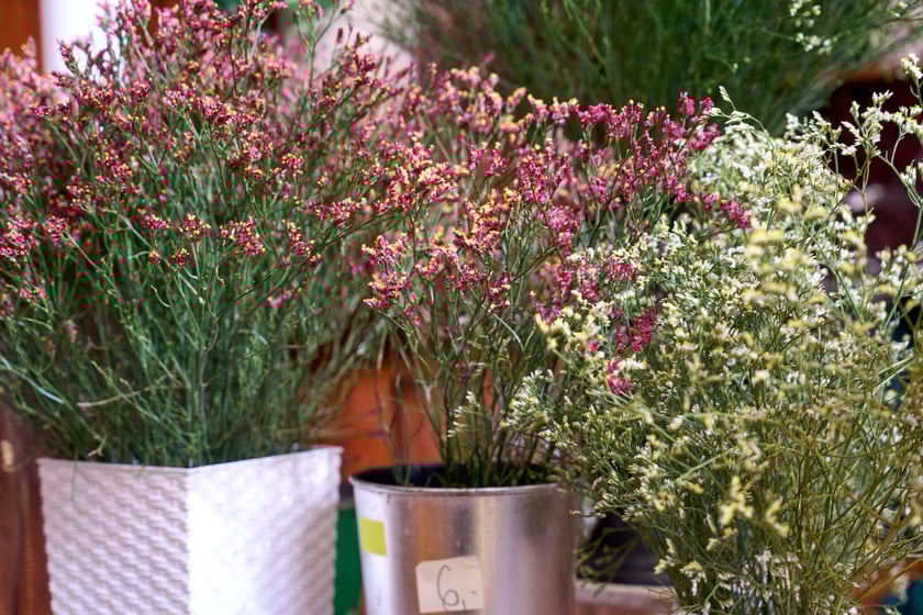 Kwiaty w Hali Targowej