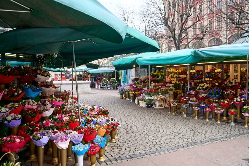 Kwiaty we Wrocławiu na pl. Solnym