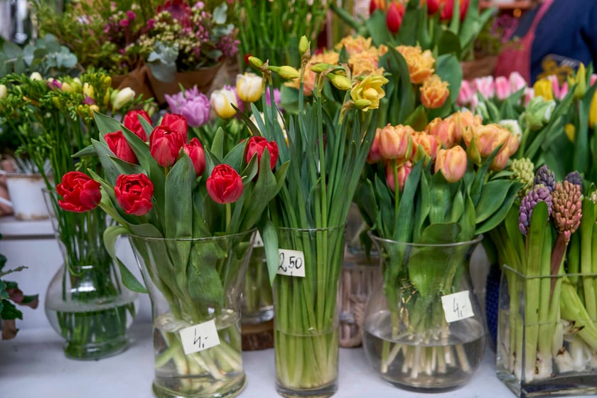 Kwiaty w Hali Targowej