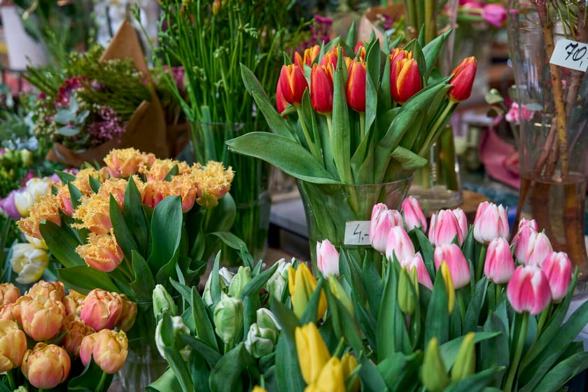 Kwiaty w Hali Targowej