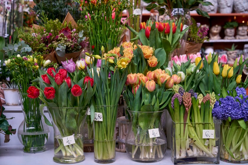 Kwiaty w Hali Targowej